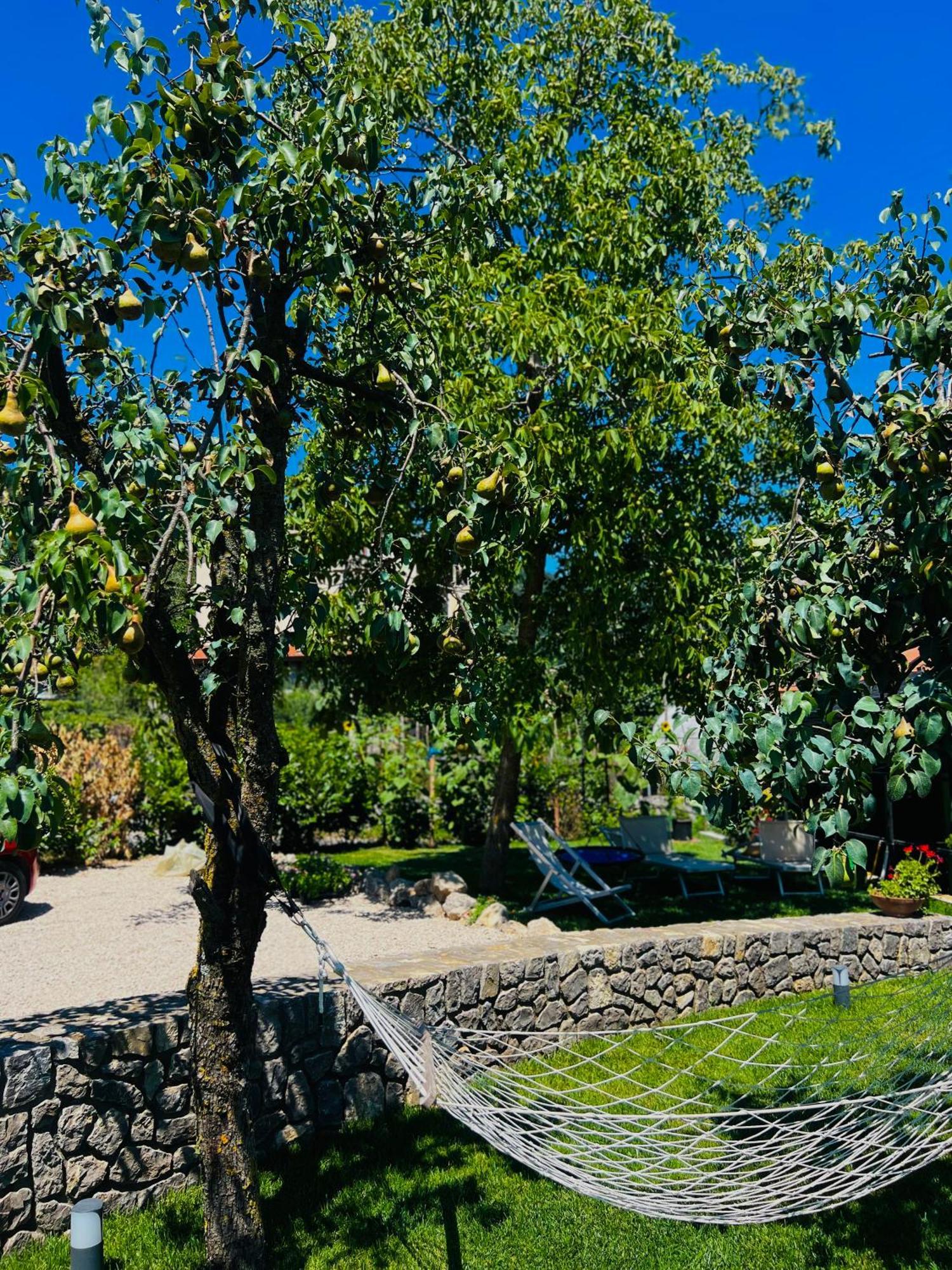 Dolce Risveglio Villa Agerola